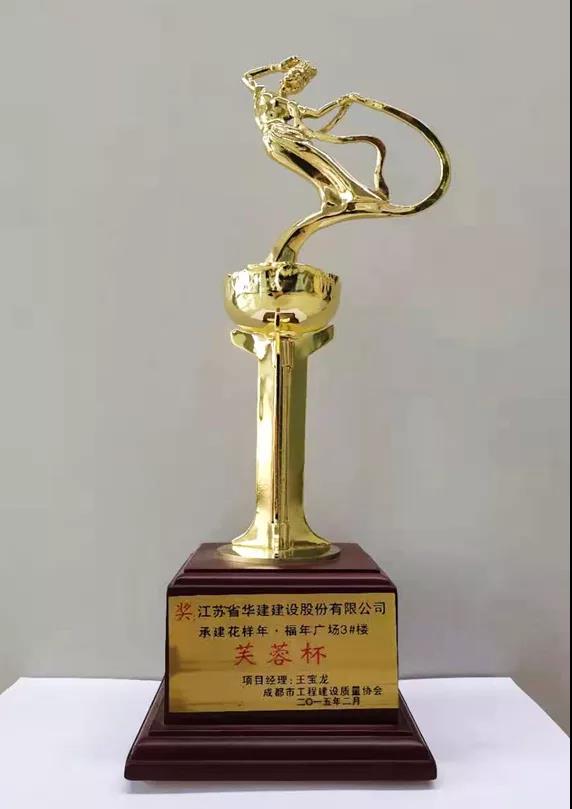 7、成都市芙蓉杯.jpg